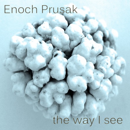 the way i see - enoch prusak